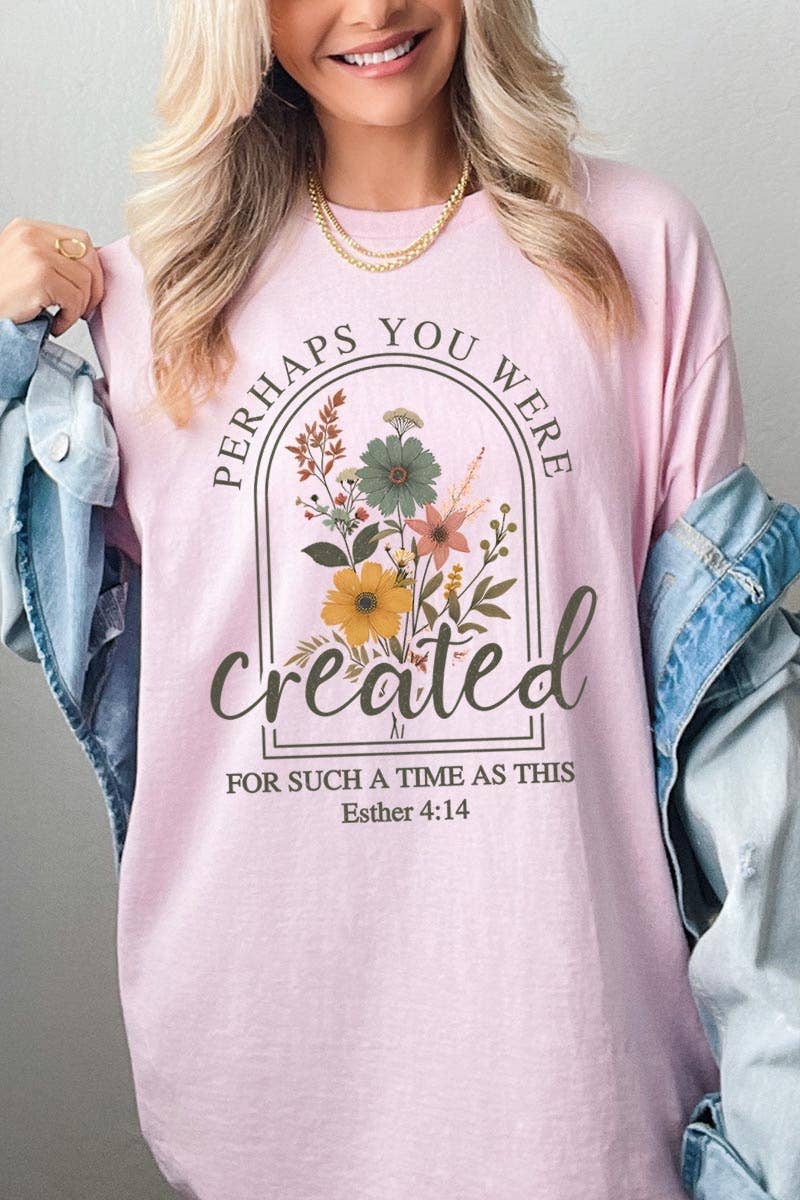 Perhaps You Were Created Graphic Heavy Cotton Tee: ASH / S