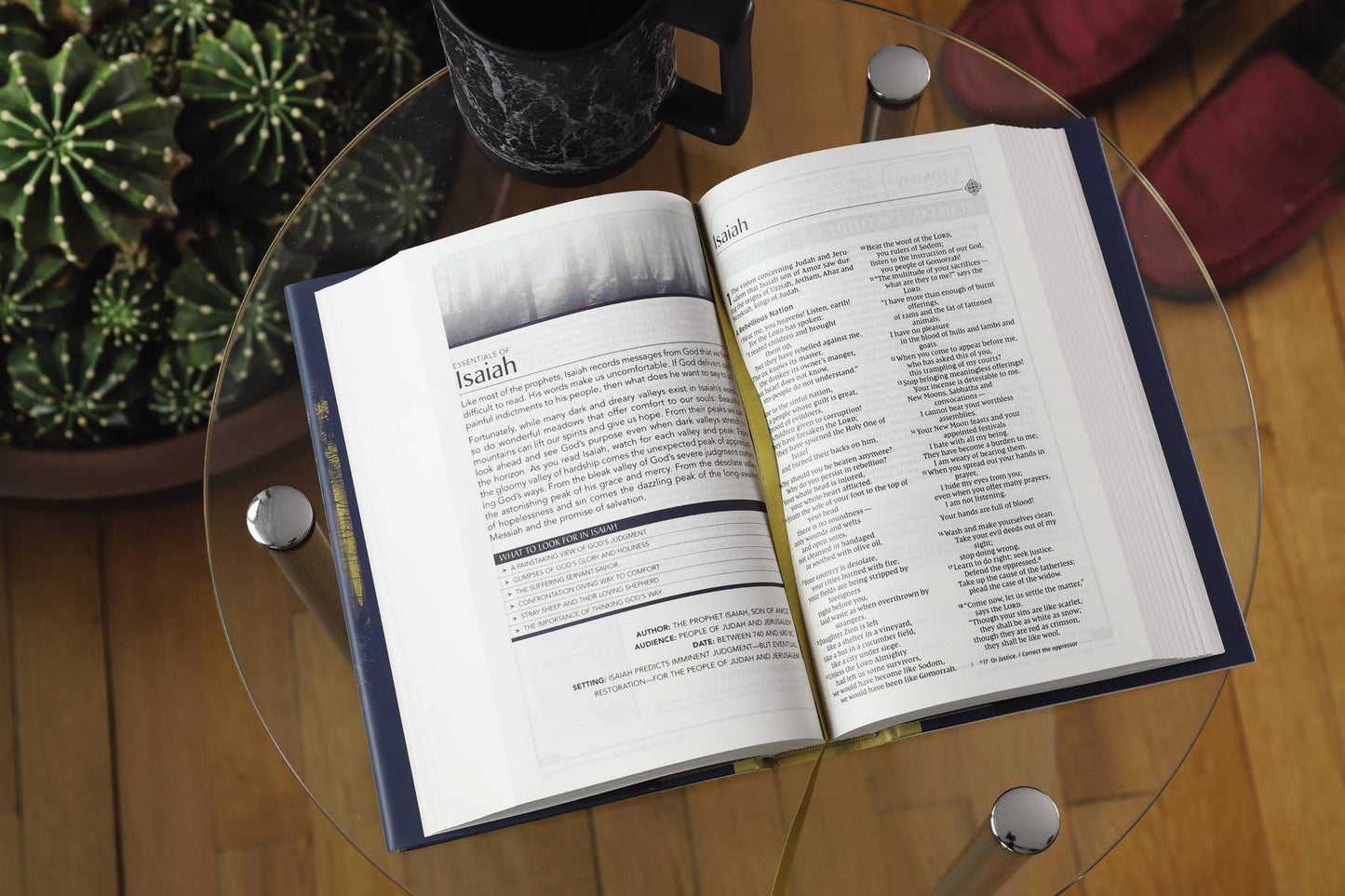 NIV Men's Devotional Bible, Hardcover