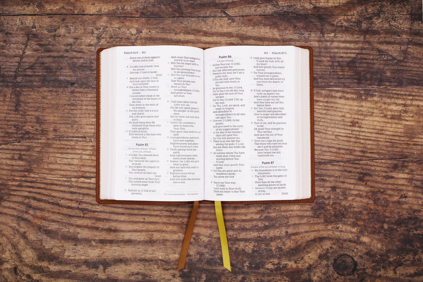 NASB, Personal Size Bible, RL Large Print, Leathersoft Brown