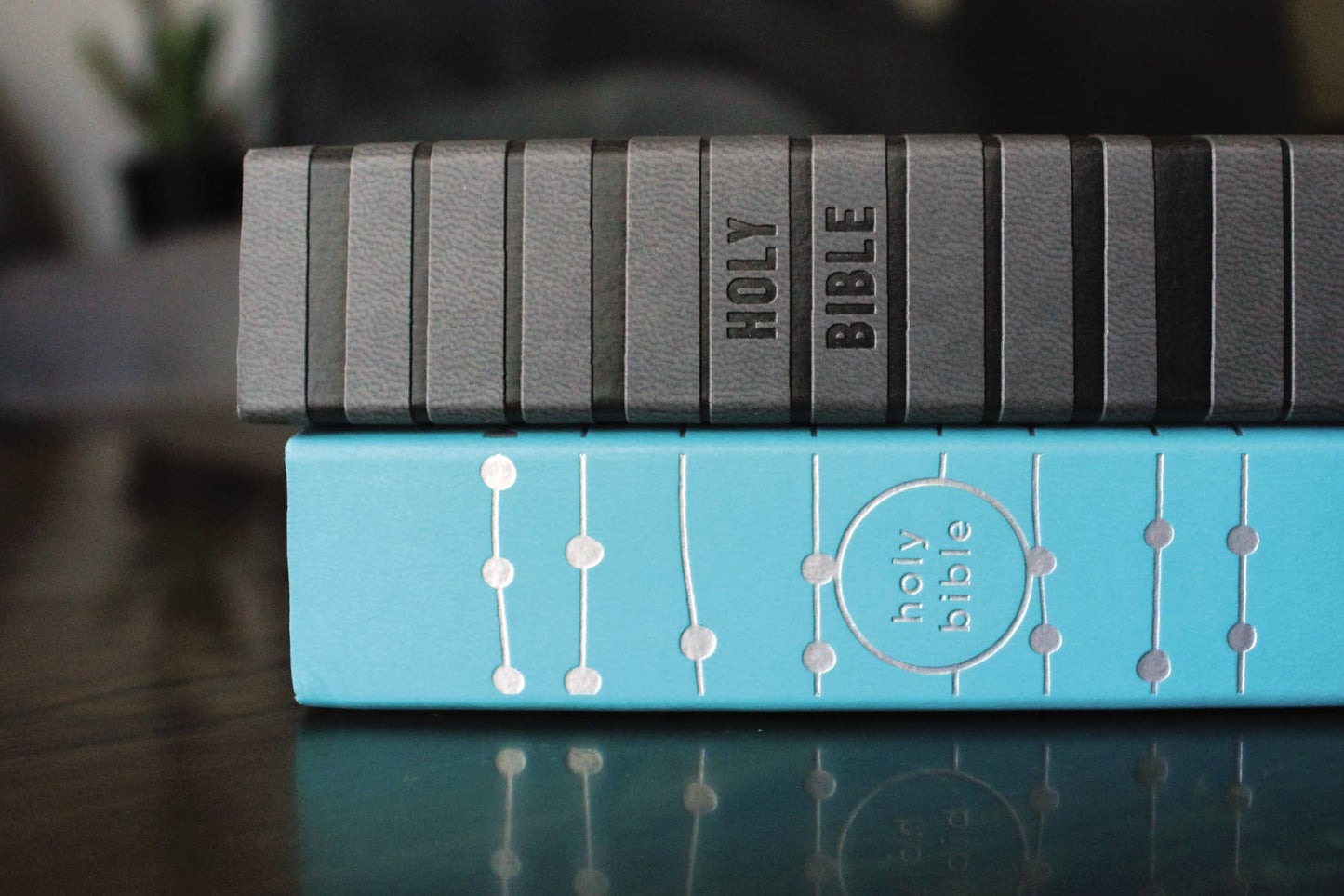 NIV Bible for Girls Soft Touch Edition Leathersoft Teal