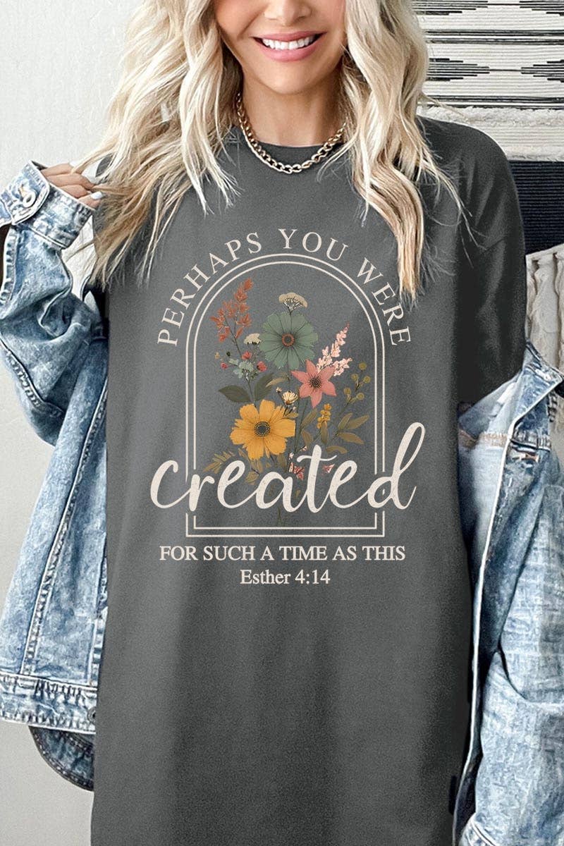 Perhaps You Were Created Graphic Heavy Cotton Tee: ASH / M