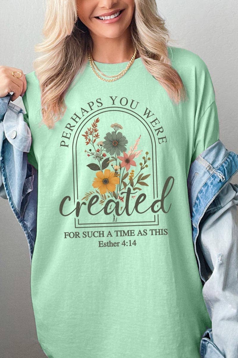 Perhaps You Were Created Graphic Heavy Cotton Tee: ASH / S