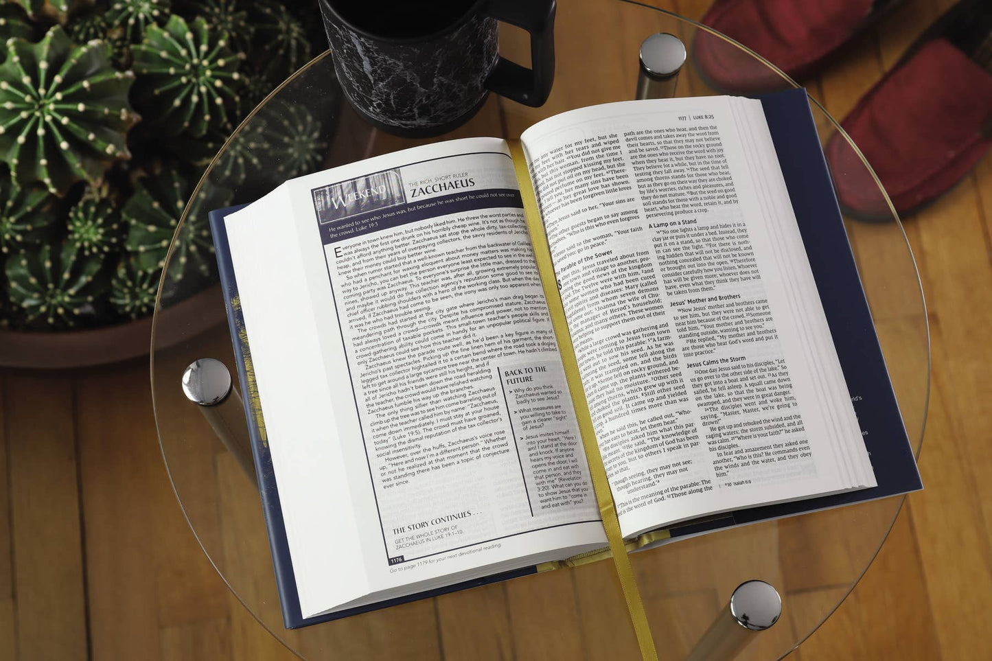 NIV Men's Devotional Bible, Hardcover