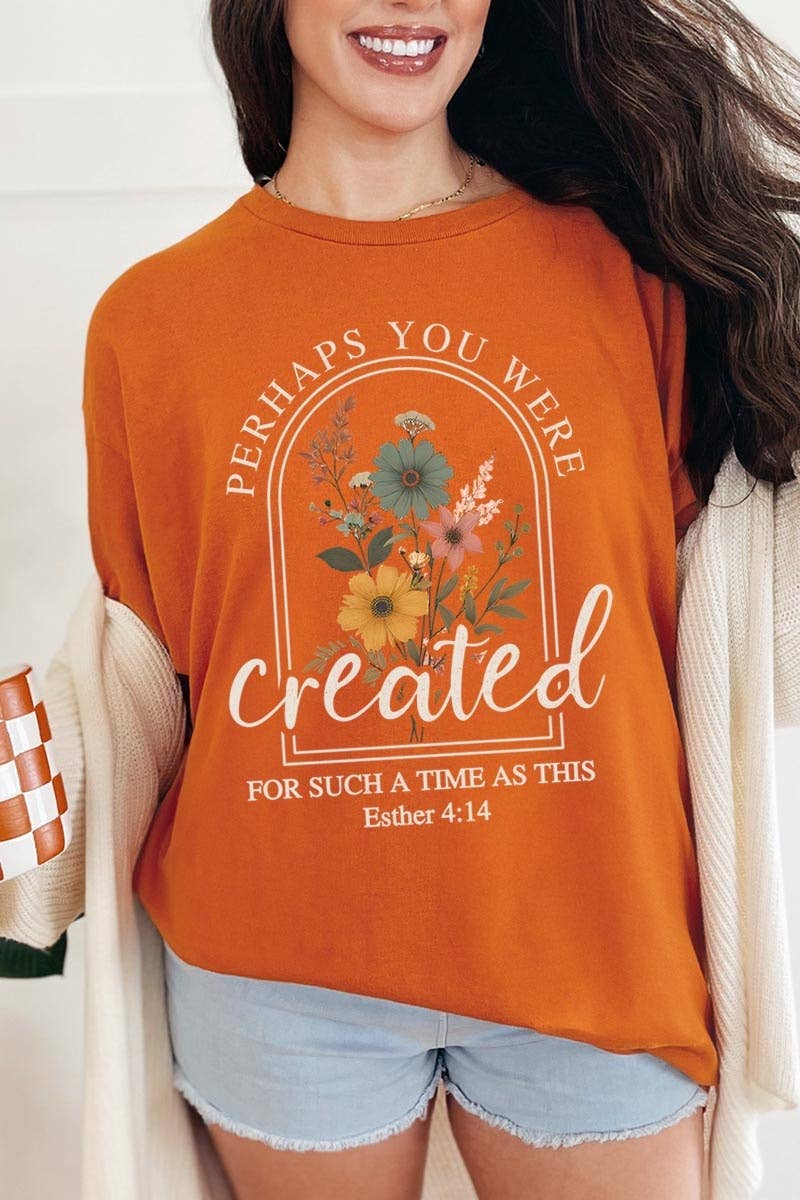 Perhaps You Were Created Graphic Heavy Cotton Tee: ASH / S