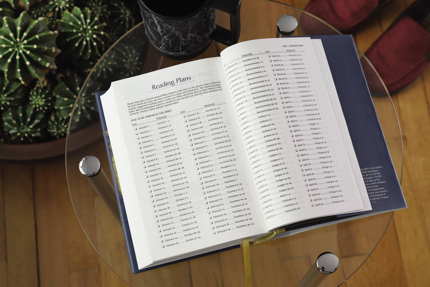 NIV Men's Devotional Bible, Hardcover