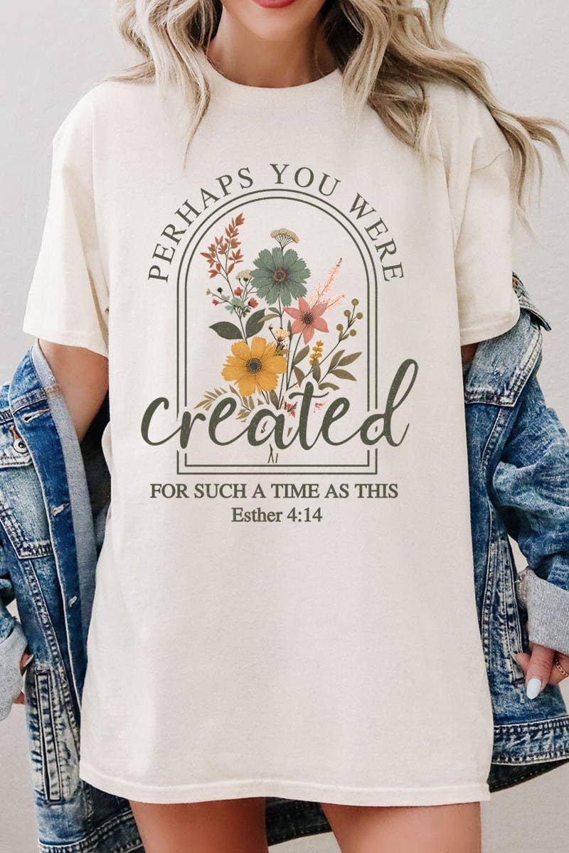 Perhaps You Were Created Graphic Heavy Cotton Tee: ASH / S