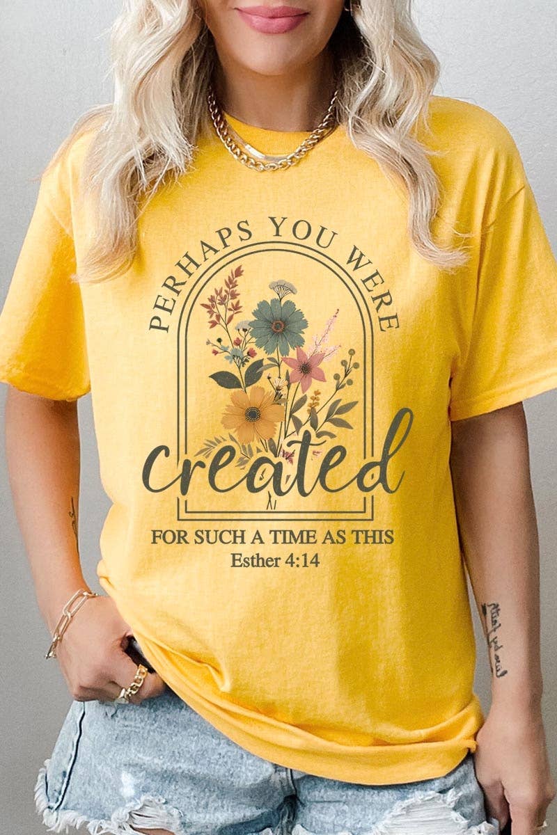 Perhaps You Were Created Graphic Heavy Cotton Tee: ASH / S