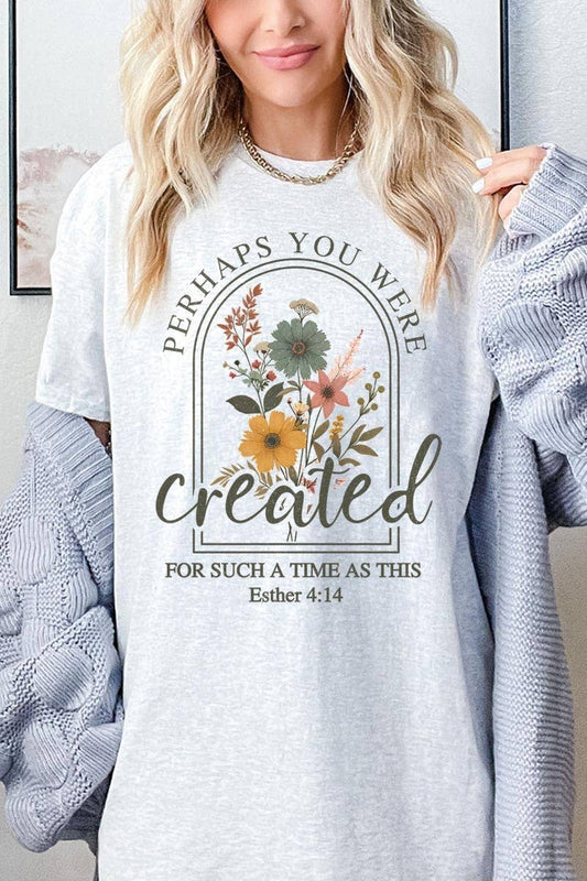 Perhaps You Were Created Graphic Heavy Cotton Tee: ASH / M