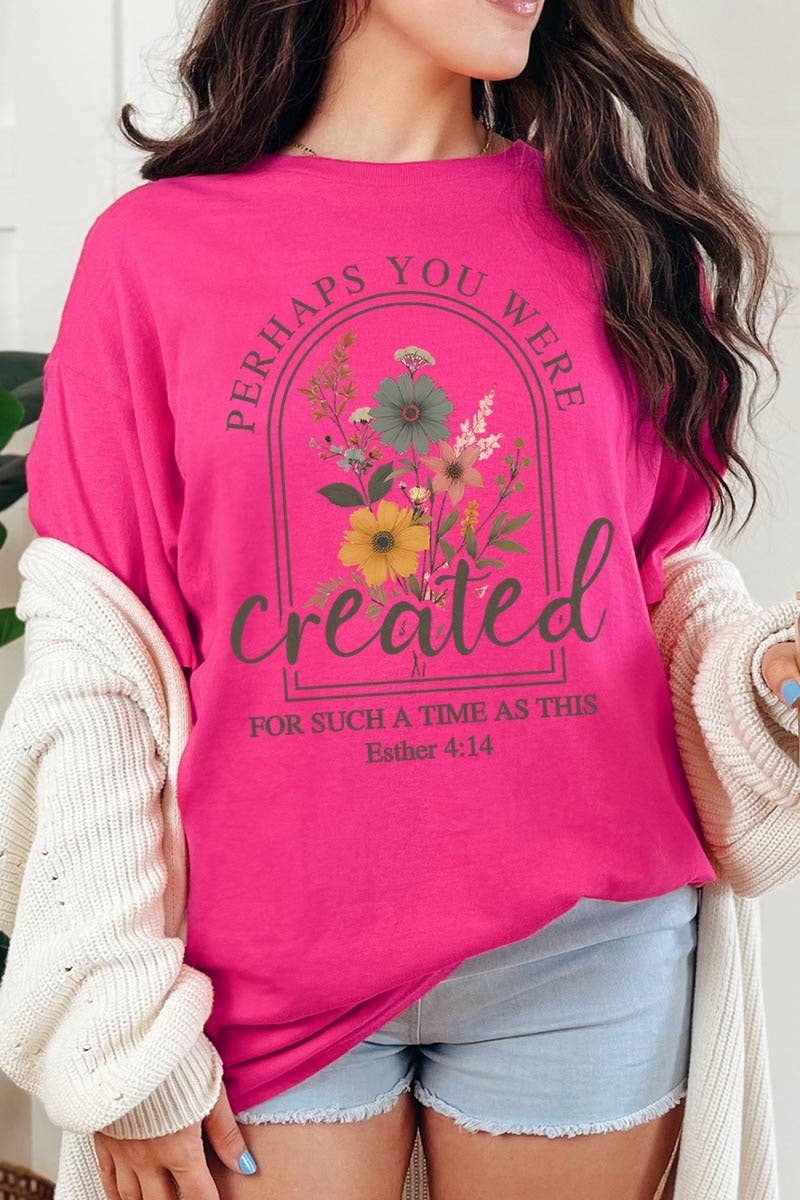 Perhaps You Were Created Graphic Heavy Cotton Tee: ASH / S