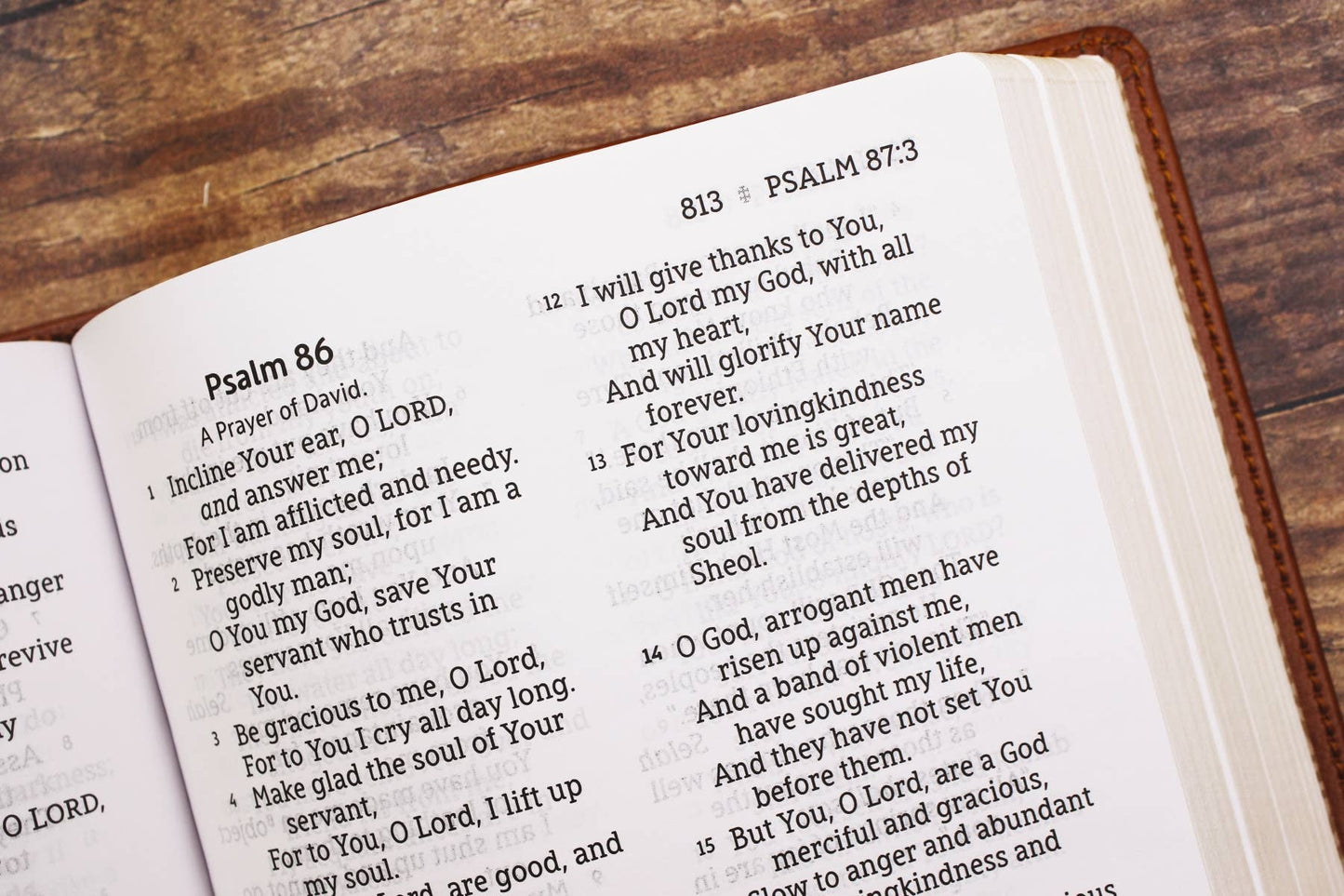 NASB, Personal Size Bible, RL Large Print, Leathersoft Brown