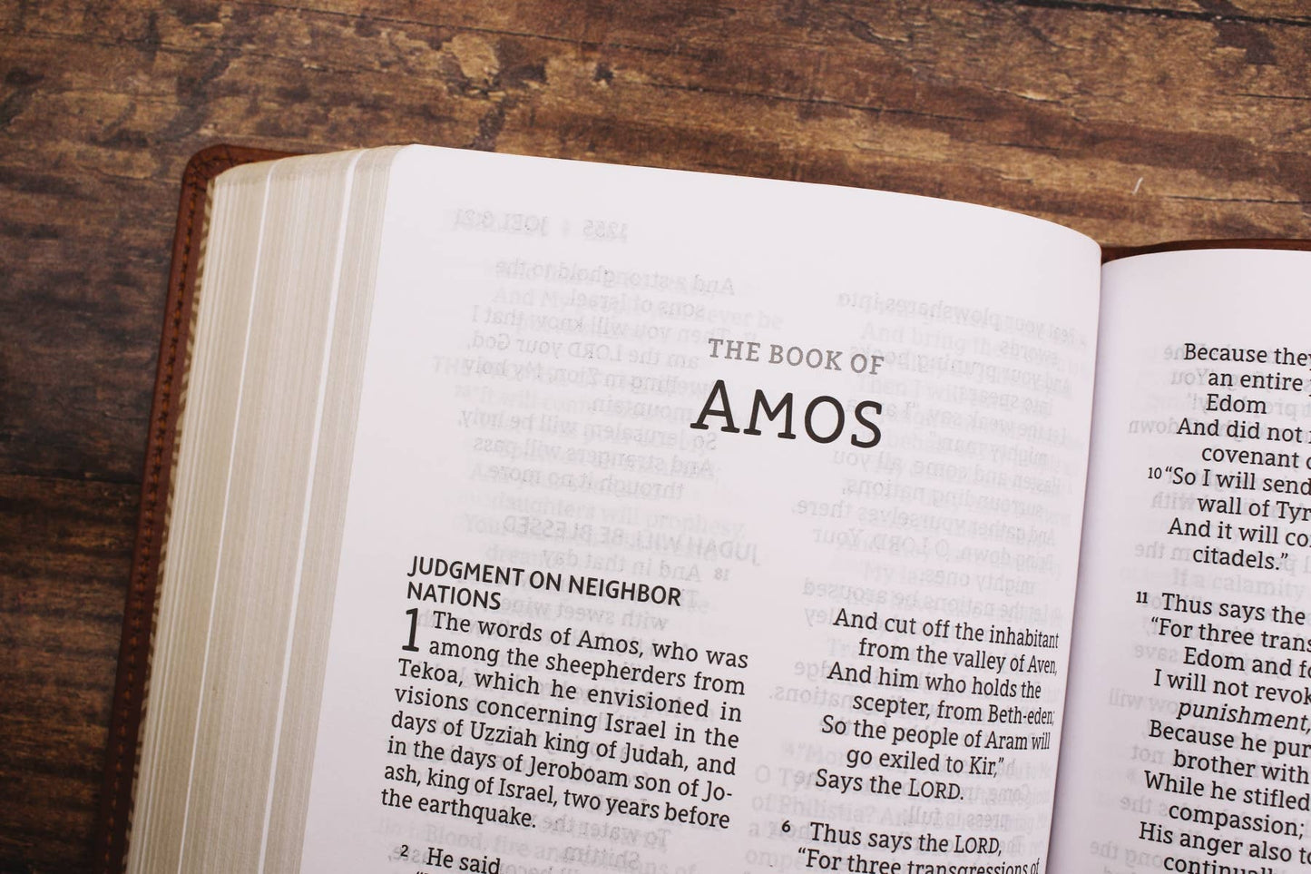 NASB, Personal Size Bible, RL Large Print, Leathersoft Brown