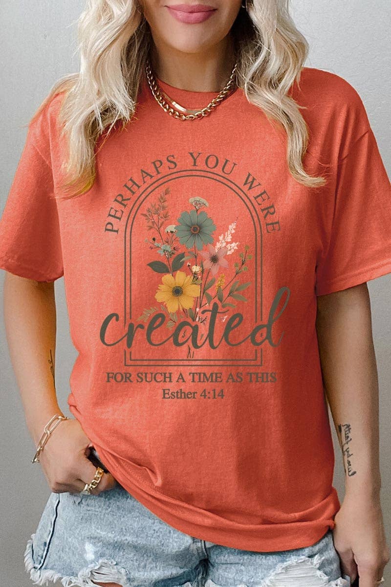 Perhaps You Were Created Graphic Heavy Cotton Tee: ASH / M