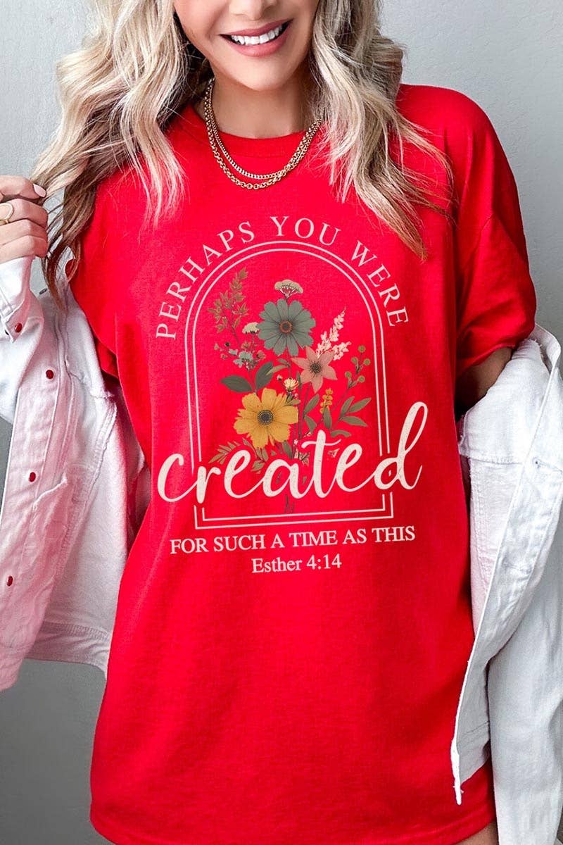 Perhaps You Were Created Graphic Heavy Cotton Tee: ASH / S
