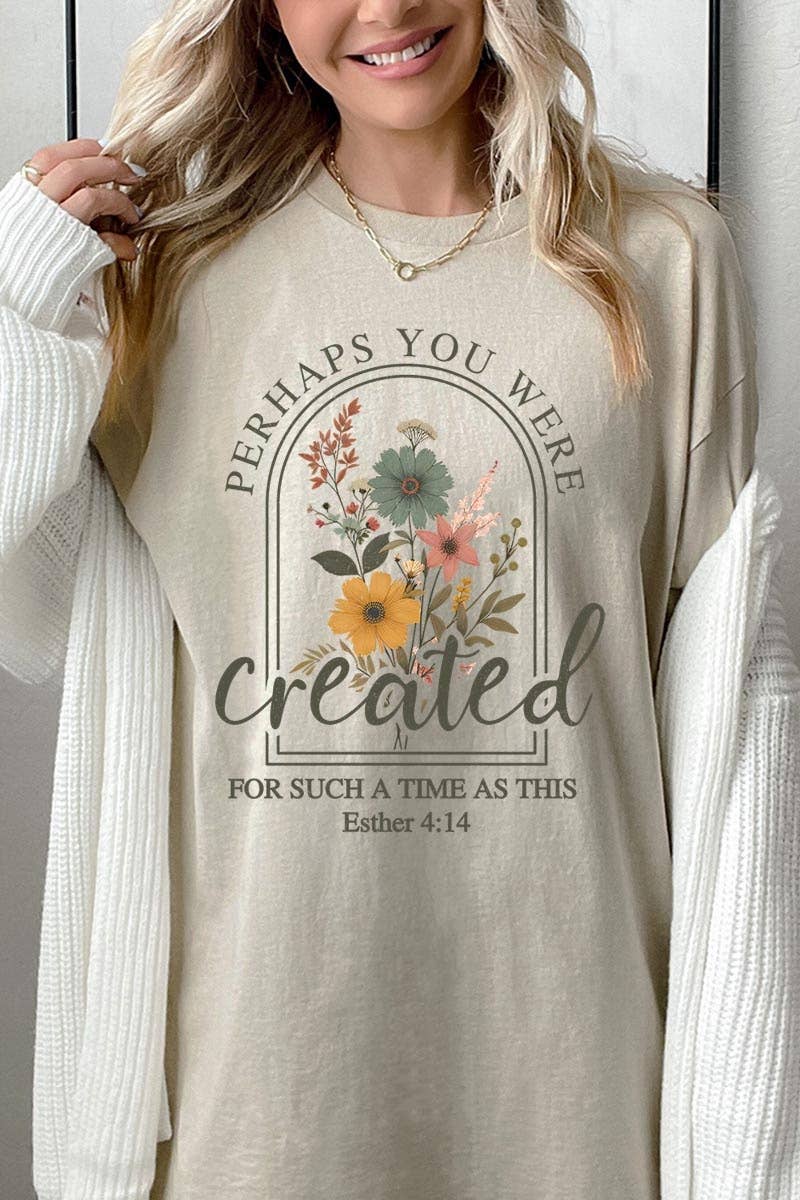 Perhaps You Were Created Graphic Heavy Cotton Tee: ASH / S